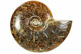 Polished, Agatized Ammonite (Cleoniceras) - Madagascar #104845-1